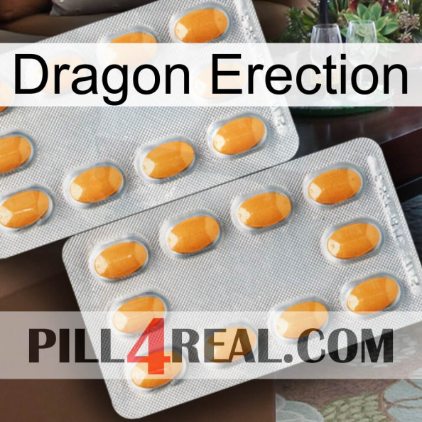 Dragon Erection cialis4.jpg